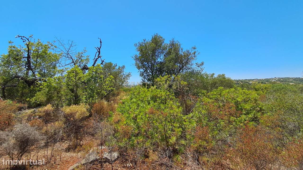 Terreno com 9.135 m² em Boliqueime-16