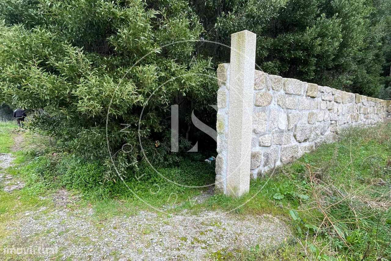 Prédio Rústico na Trofa - Grande imagem: 5/8