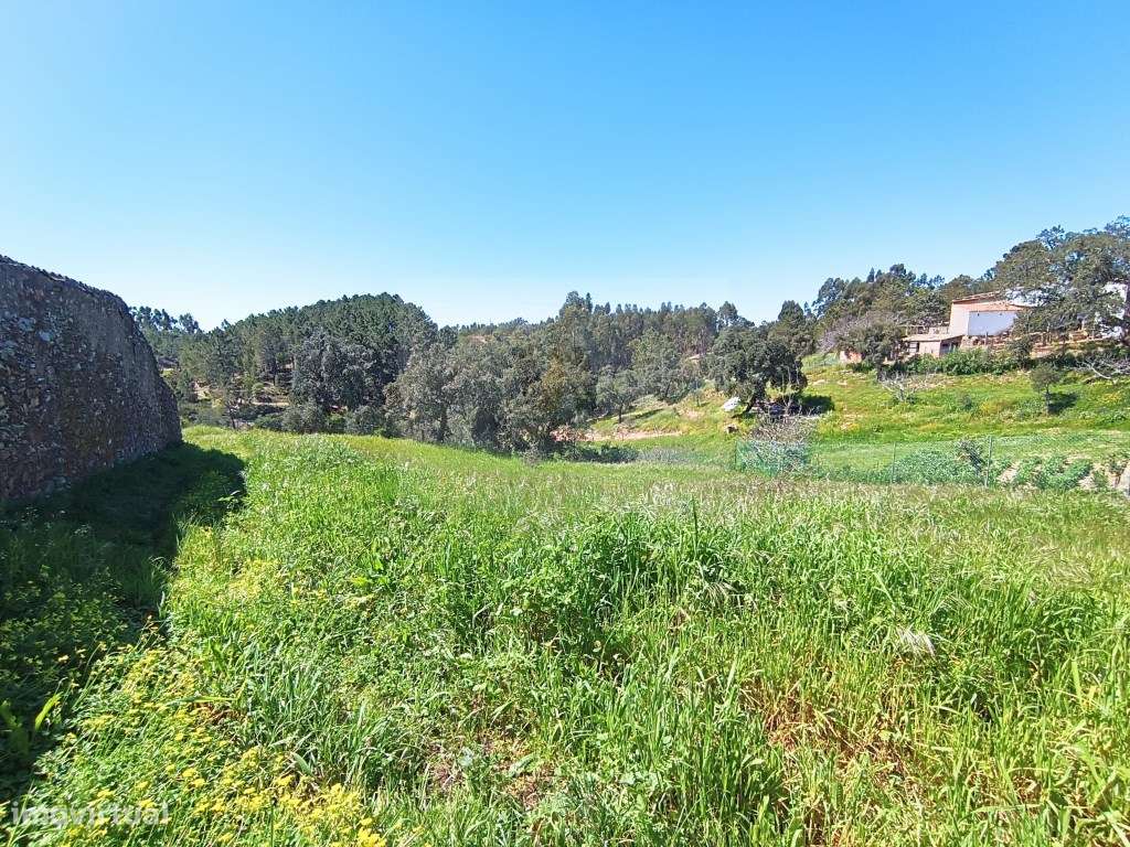 Terreno à Venda em São Brás de Alportel - Oportunidade Única! - Grande imagem: 4/8