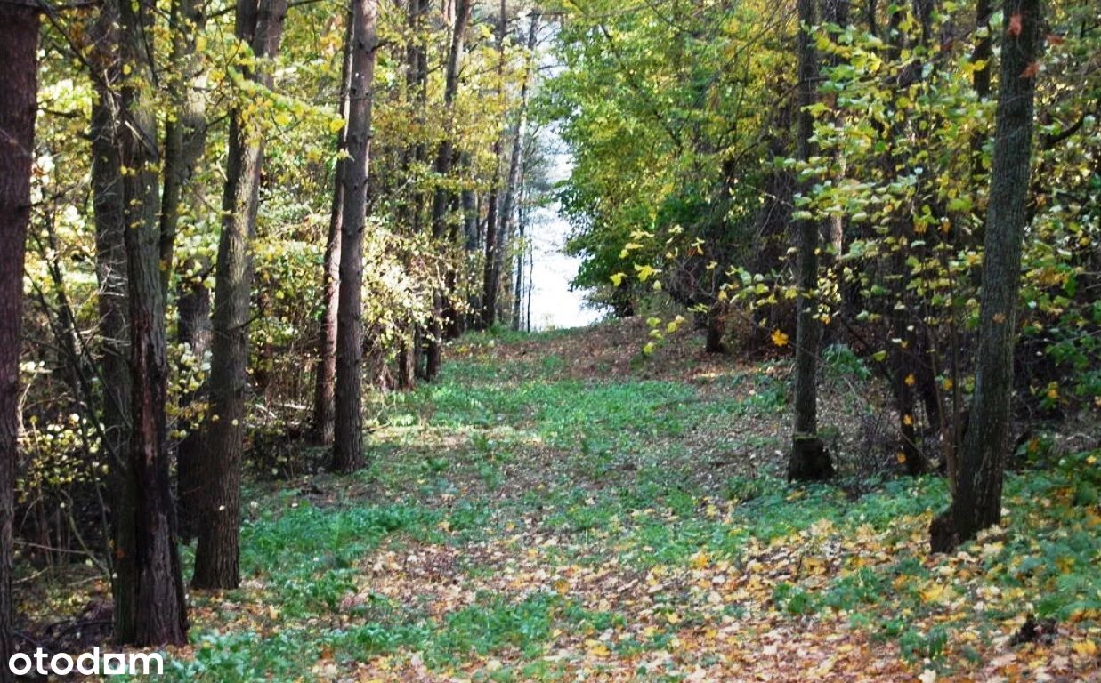 Ostatnie 2 działki z widokiem na jezioro Garbas!