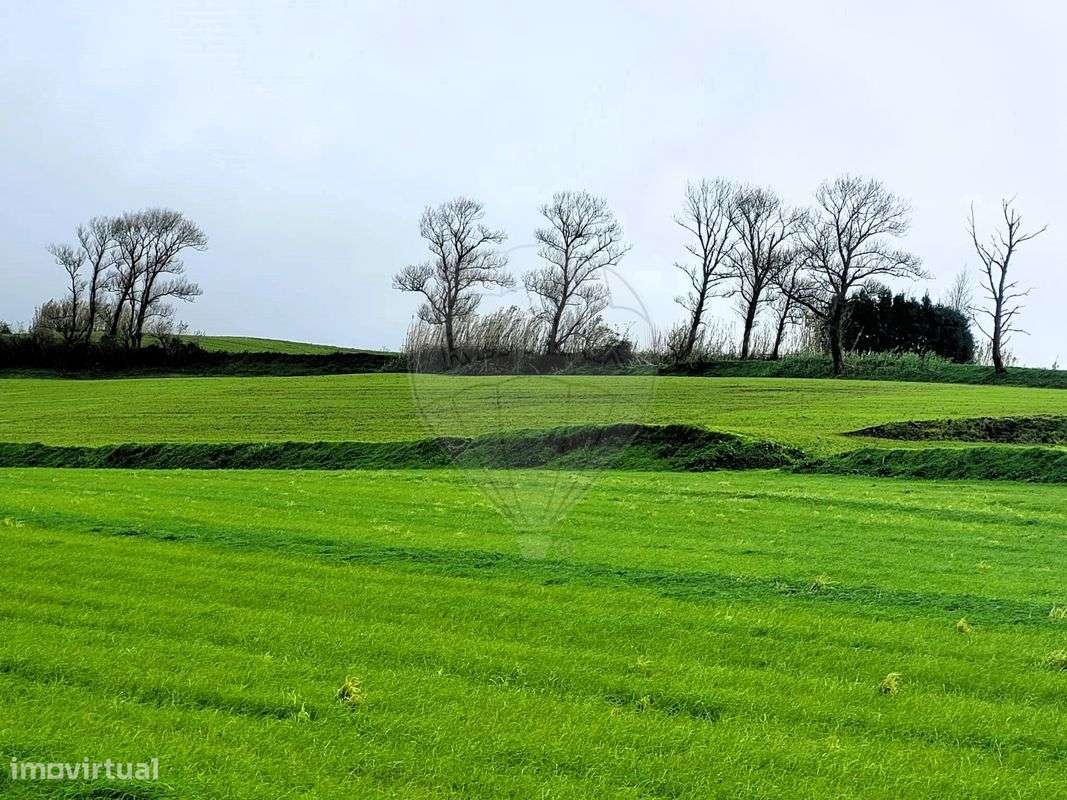 Terreno  para venda - Grande imagem: 3/8