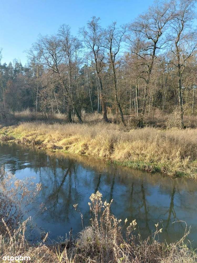 Dom, 86 m², Cieślin-7