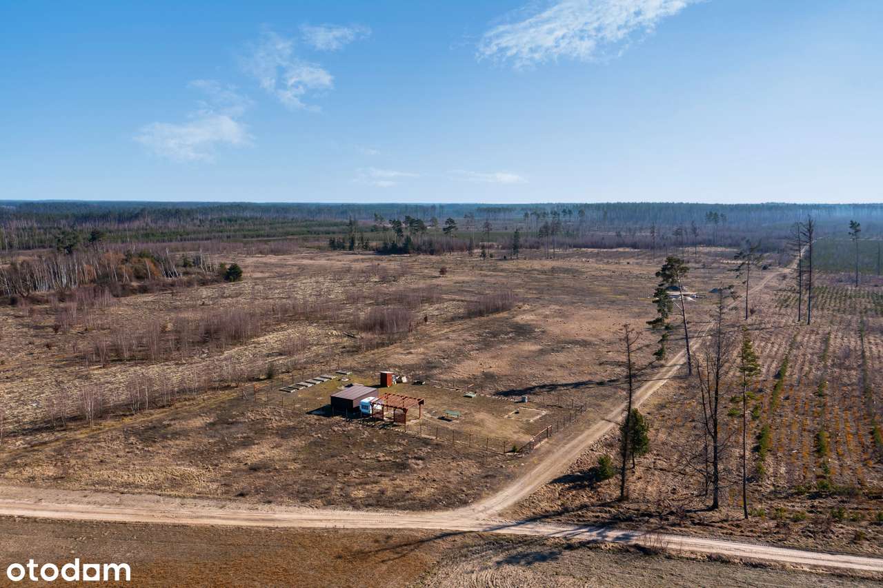 Wyjątkowa działka, idealny metraż, świetne sąsiedztwo, 15km od Chojnic-5