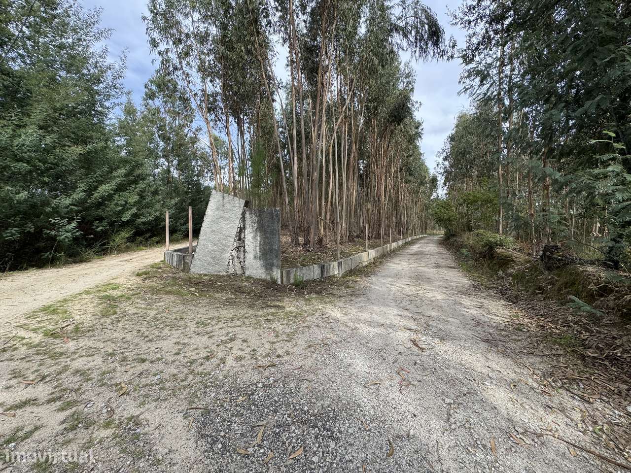 Moradia, 140 m², Molelos-48