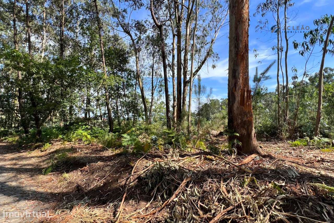 Terreno Rústico com 1400m2 em Lamoso, Paços de Ferreira - Grande imagem: 3/18
