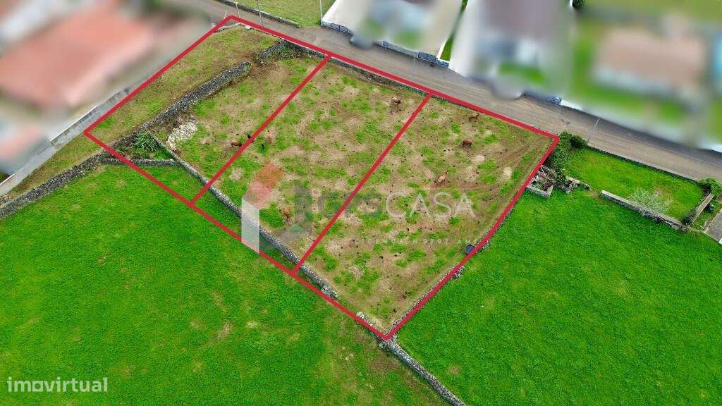 Lote para construção na freguesia do Cabo da Praia! - Grande imagem: 4/9