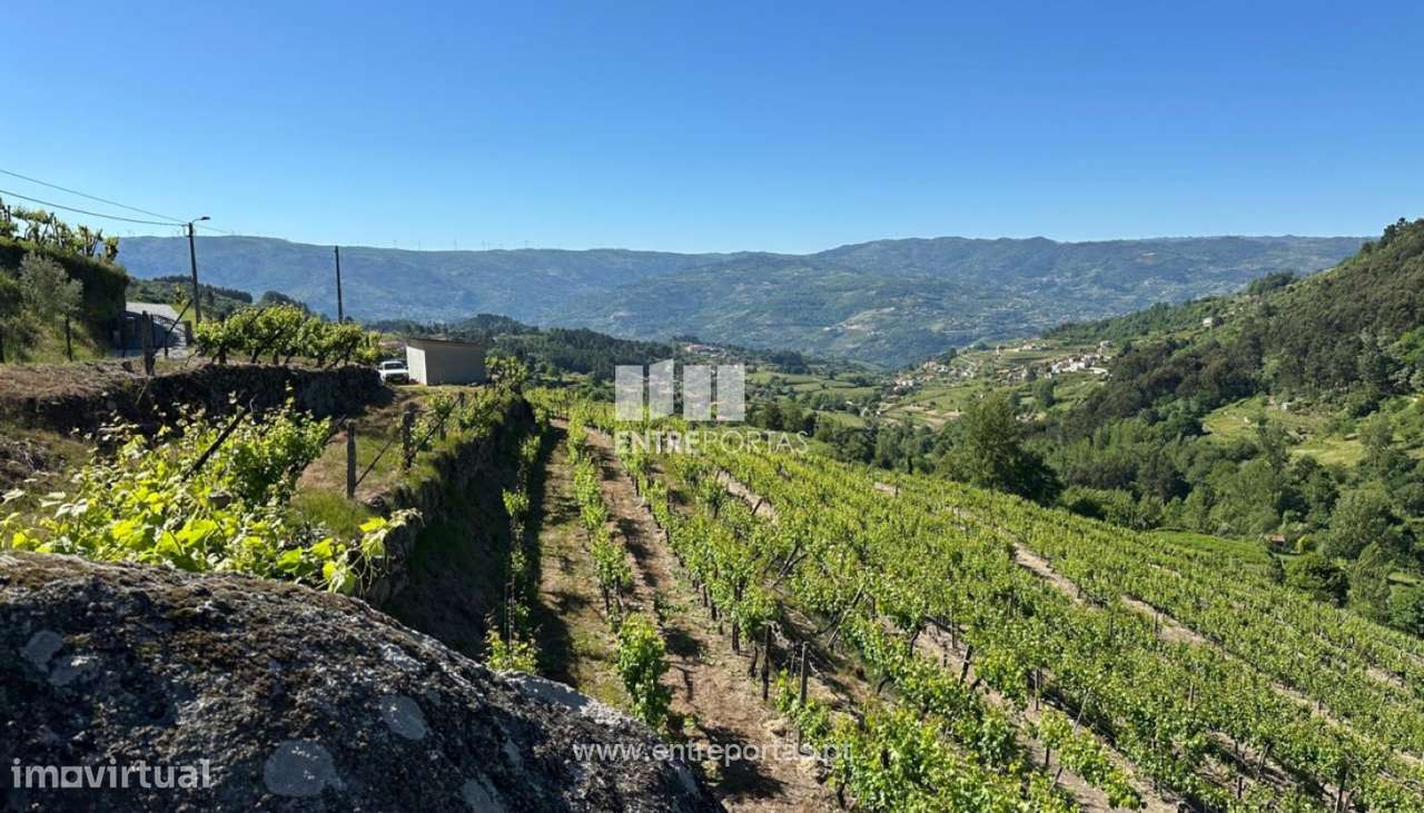 Venda Terreno, Sta. Marinha do Zêzere, Baião - Grande imagem: 2/27