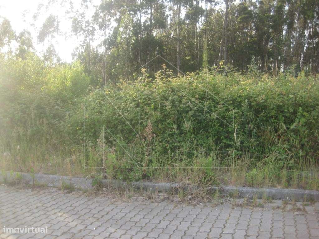 Lote de Terreno - Grande imagem: 3/4