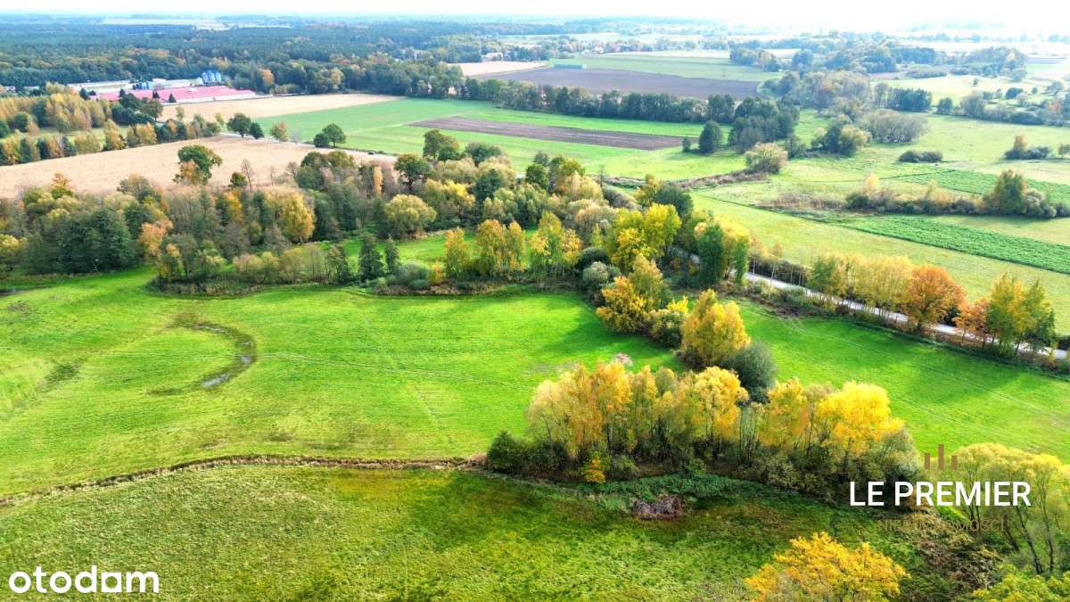 Grunty rolne w Rakowie, gmina Długołęka - Pełny obrazek: 5/12