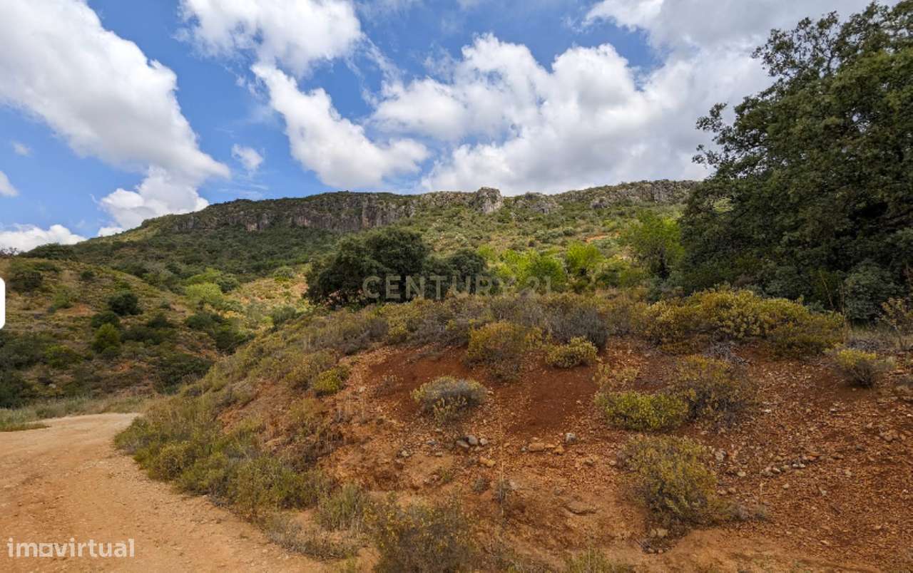 Terreno em Pé de Erva, com Ruína e Potencial de Construção, a 10 min-3
