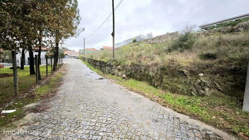 Terreno para Construção / Penafiel, Cabeça Santa-10