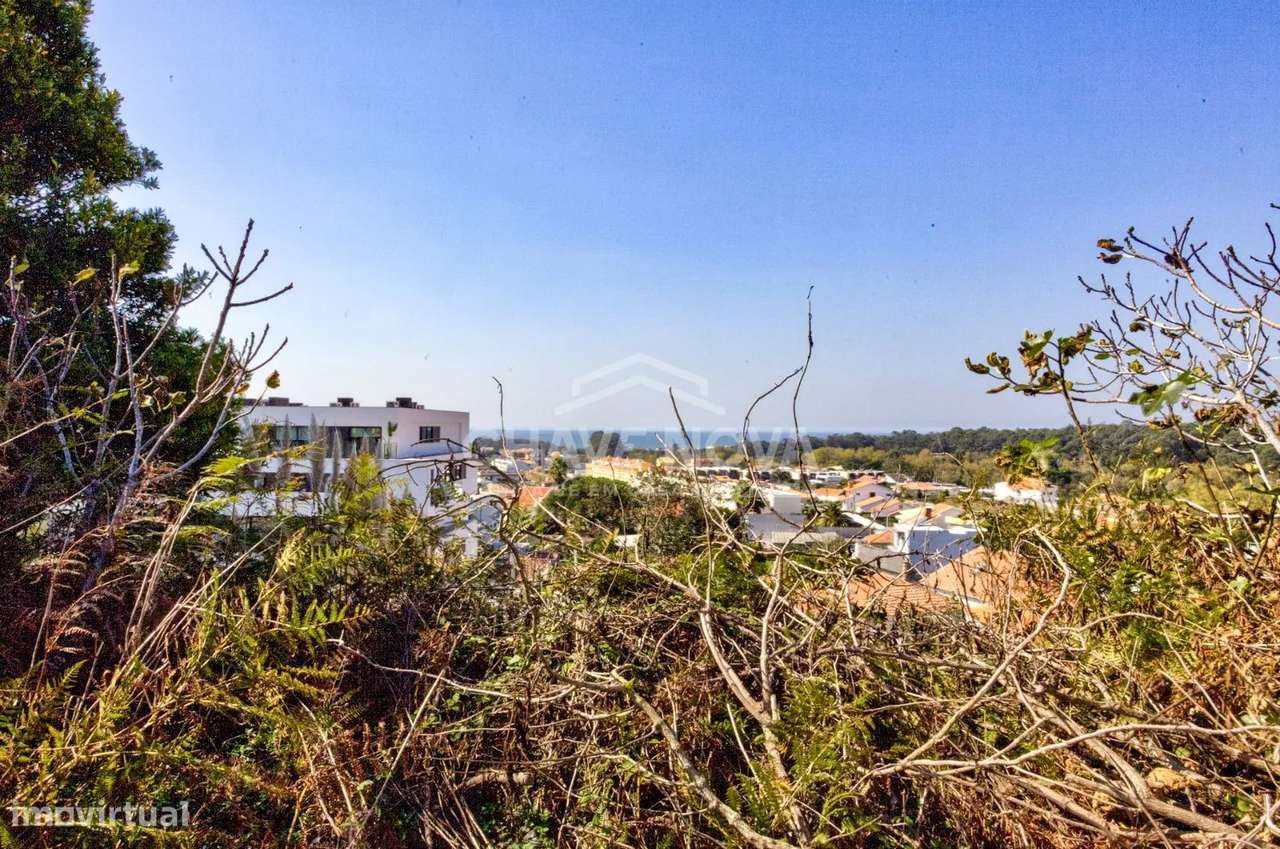 Terreno Urbano c/ 816m² na Madalena - Grande imagem: 3/14