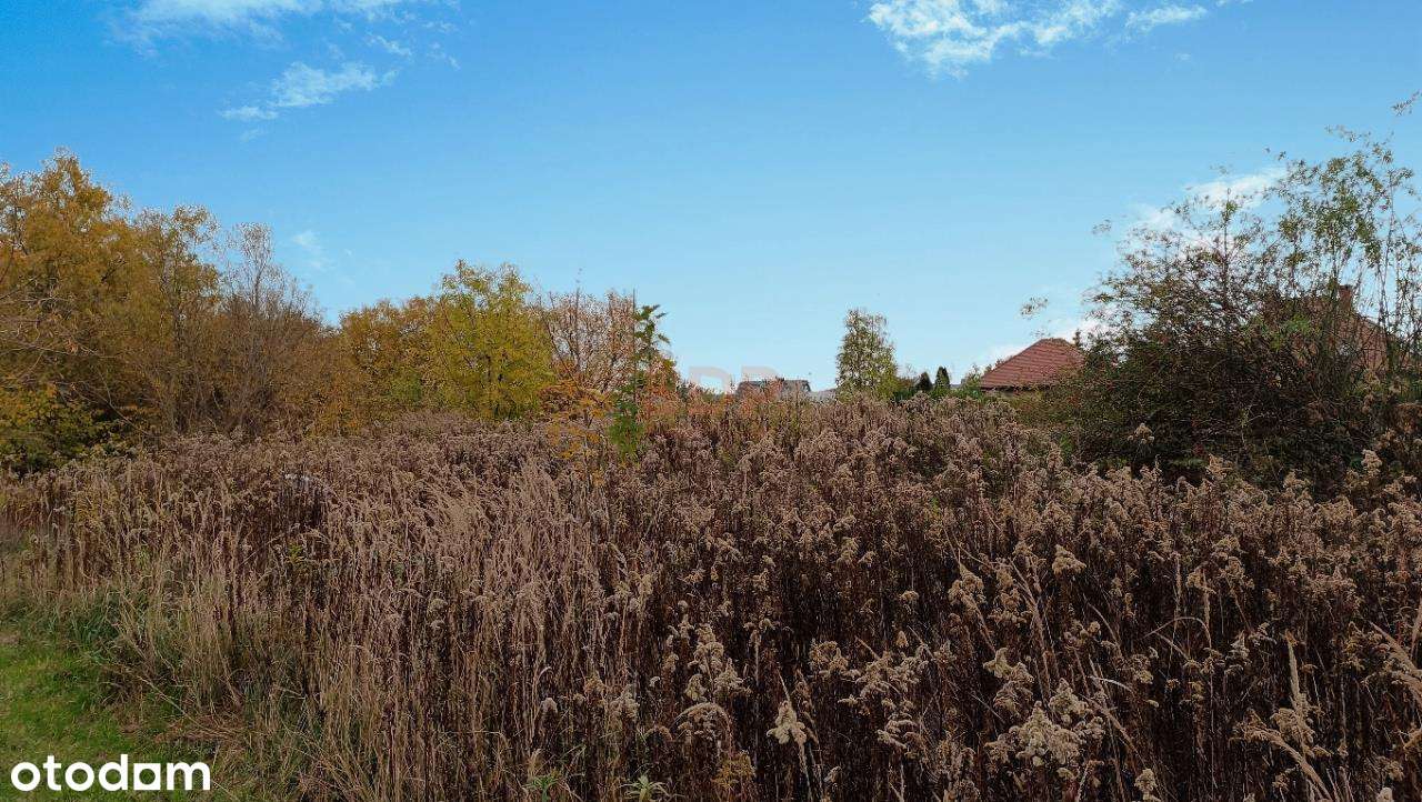 Budowlana, 515 m2, prąd, woda, gaz, kanalizacja - Pełny obrazek: 3/5