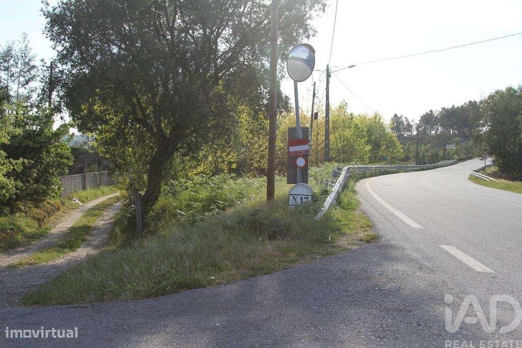 Terreno Agrícola em Oliveira do Hospital e São Paio de Gramaços-38