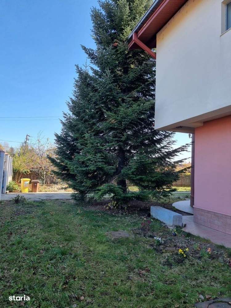 Propietate deosebila de peste 1500 mp utili in Otopeni! - Imagine principală: 2/19