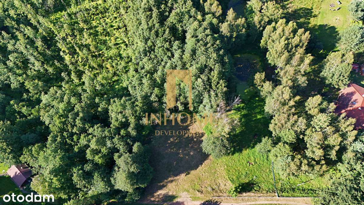 Działka z lasem I Biały Bór I Blisko jeziora! - Pełny obrazek: 2/6