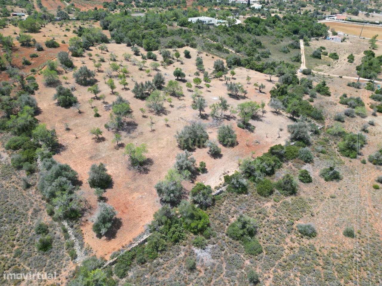 Terreno Rústico com 15000 m2, situado nas Baiãs - Grande imagem: 3/21