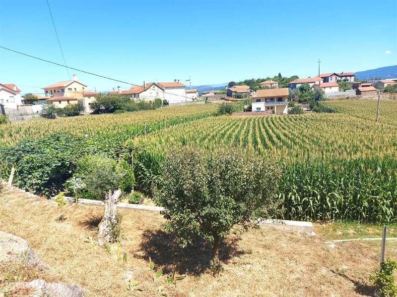 Terreno para construção em Mansores, Arouca - Grande imagem: 4/33