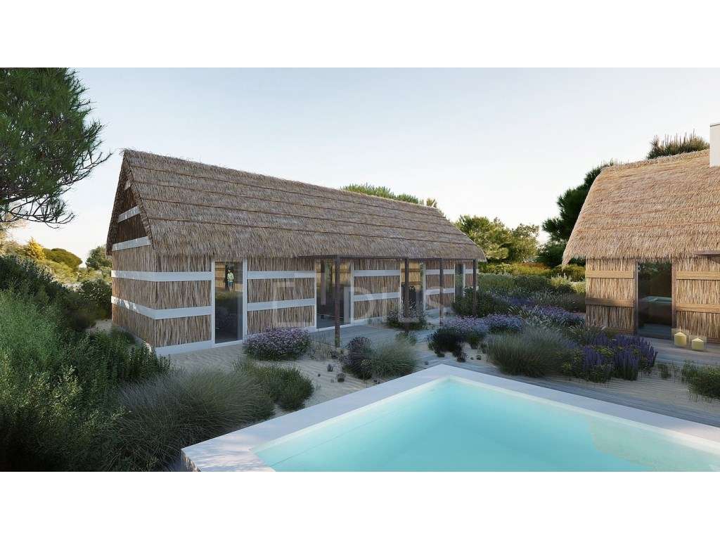 Terreno, Brejos da Carregueira, Comporta - Grande imagem: 5/11