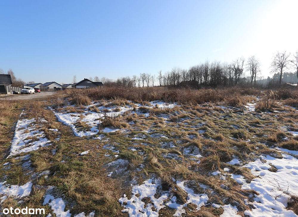 Atrakcyjna działka budowlana – Brzezie k. Sulechowa-0