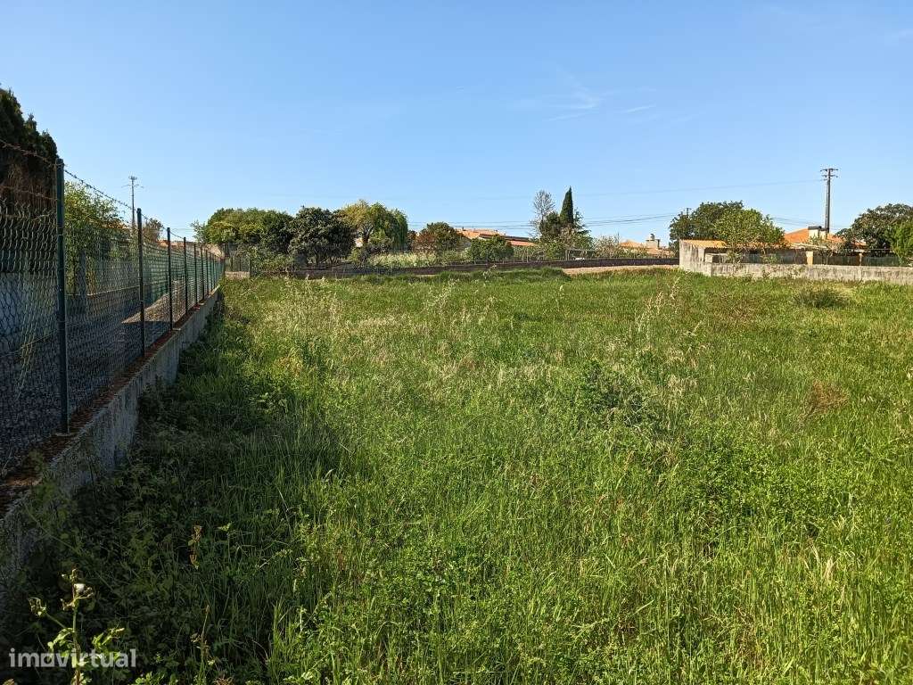 Terreno no Centro de Oiã - 15,50m de Frente - Grande imagem: 5/20