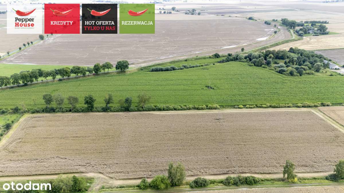 Działki Rolne!! Wielkie Walichnowy! - Pełny obrazek: 4/16