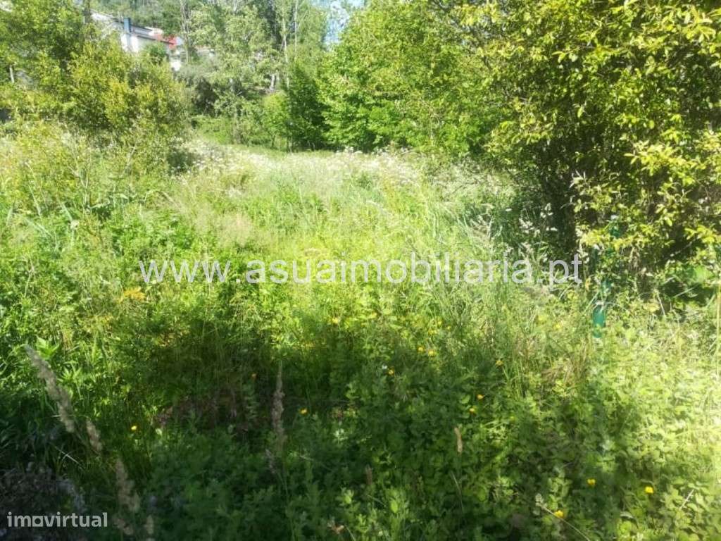 Terreno - Caldelas - Grande imagem: 3/3