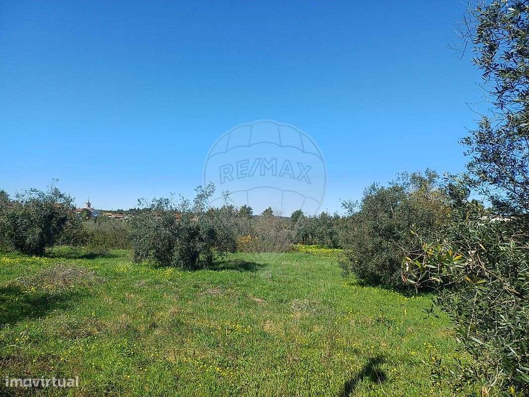 Terreno  para venda - Grande imagem: 2/6