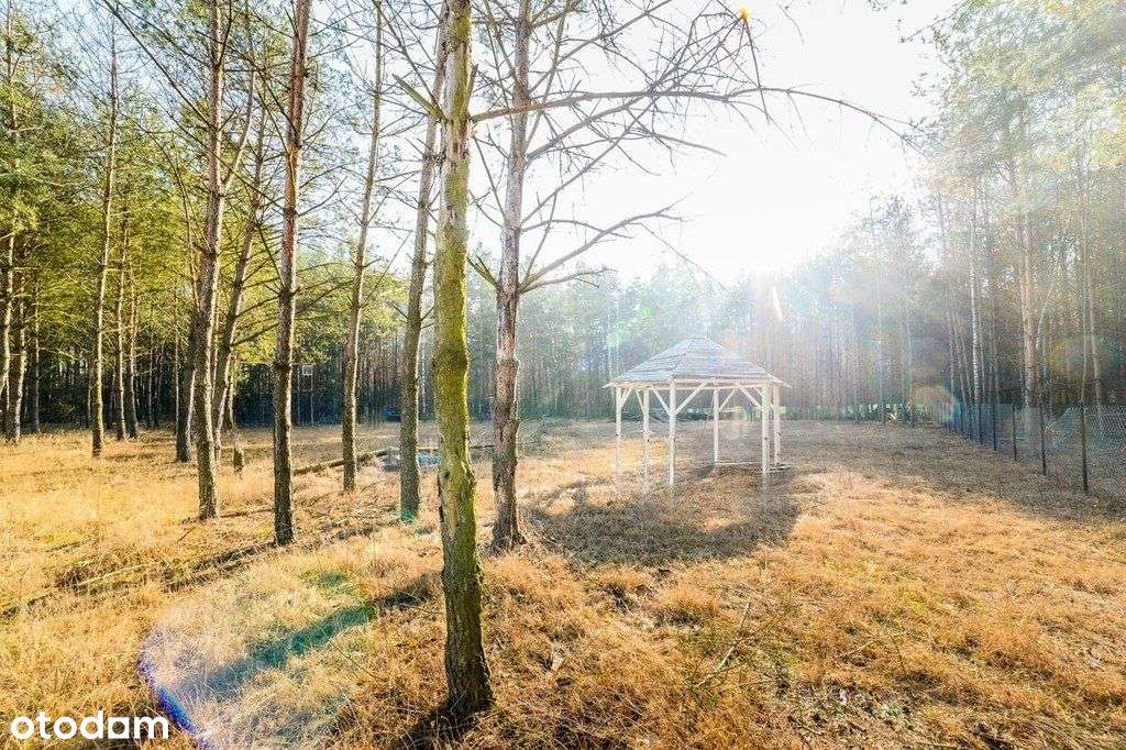 Działka w pięknym miejscu - zabudowa letniskowa - Pełny obrazek: 4/19
