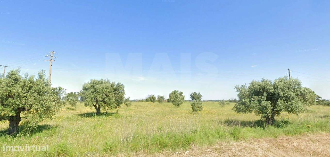 Terreno Rustico CHÃ Alcanena - Grande imagem: 2/6