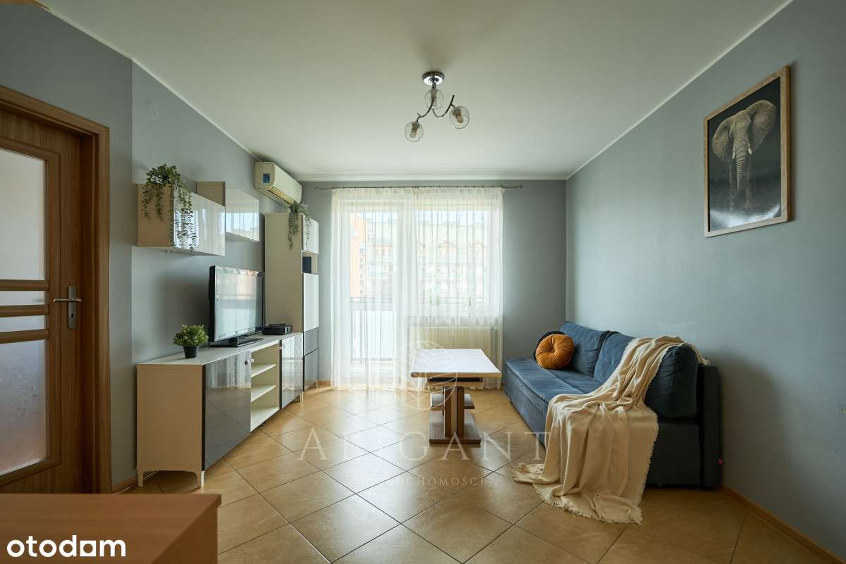 2 pokoje *Świetny układ *Dobra komunikacja-0