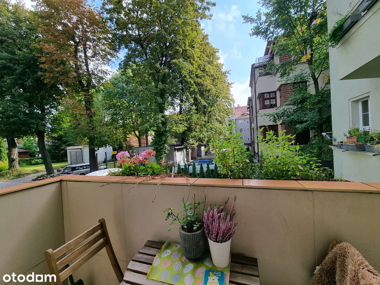 Bytom ul. Didura Knajfeld jedna z najładniejszych kamienic-2