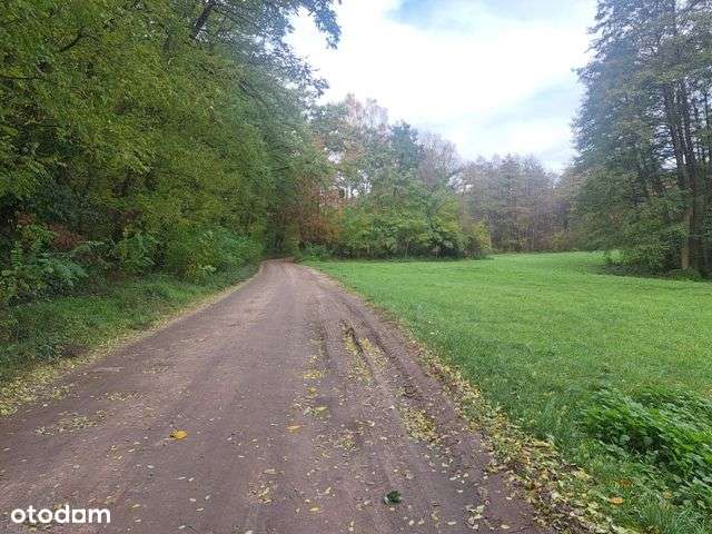 Działki rolne w ok Stęszewa/Tomice/nr 130 i nr 237/ul Szkolna-3