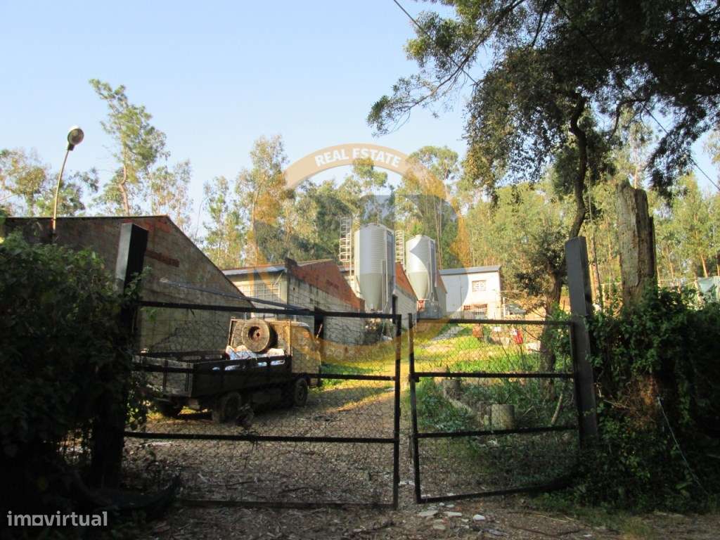 Terreno em Oliveira de Azeméis - Grande imagem: 4/7