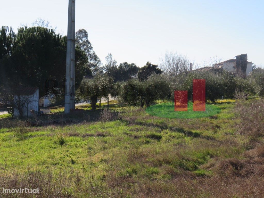 Lote em São João da Ribeira