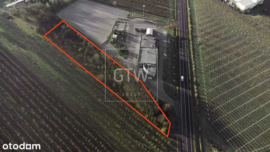 Działka Usługowa Grobice gm. Chynów 6548m2 Dk50 - Pełny obrazek: 5/9