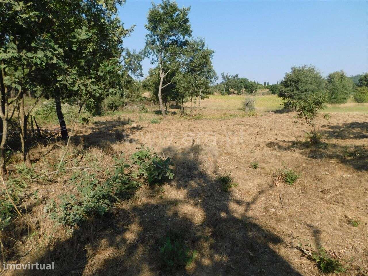 Terreno Rústico / Fundão, Capinha - Grande imagem: 3/3