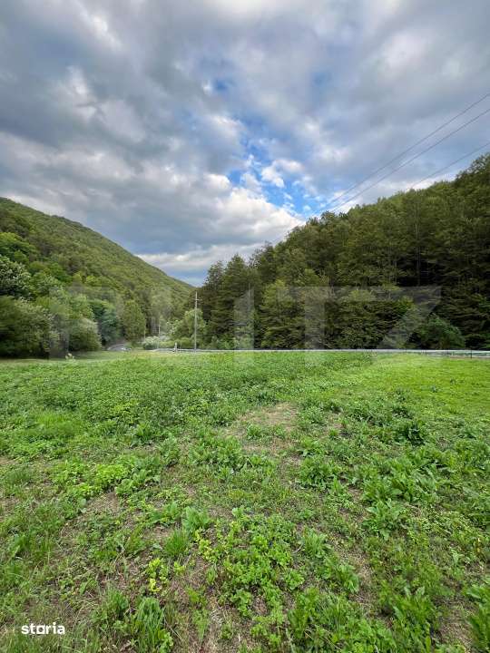 Casa 100 mp utili 4 camere 1,6 ha teren aproape de Trans Apuseana - Imagine principală: 4/7