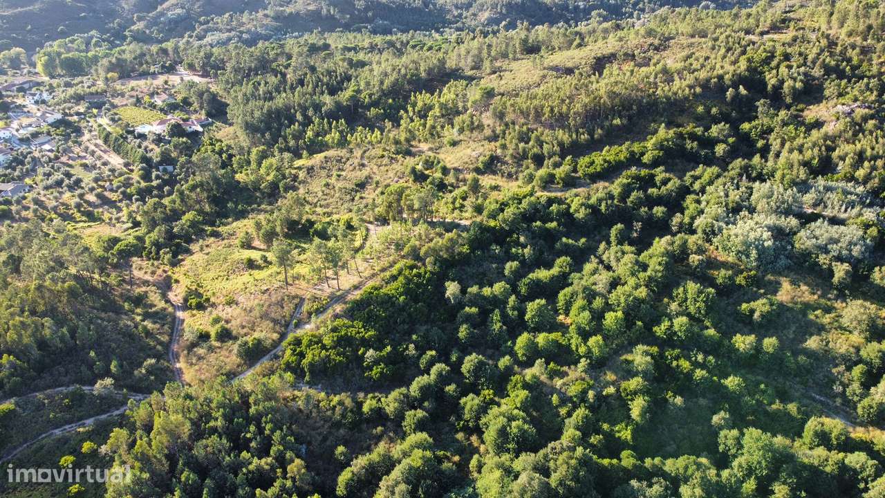 Terreno de 16ha a 15min do centro de Viseu - Grande imagem: 5/6