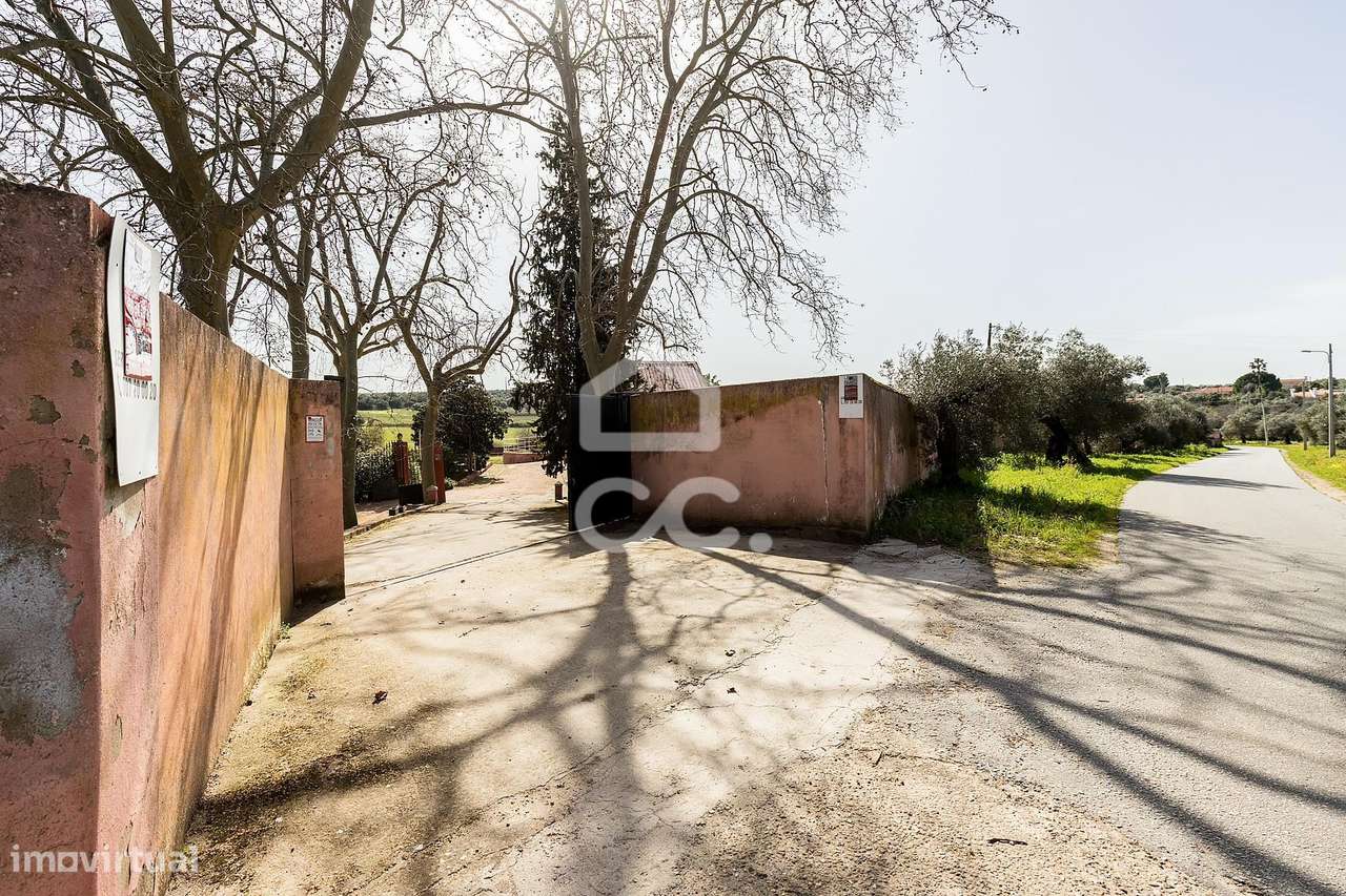 Palacete de inspiração neoclássica francesa com jardim botânico de Jea-53