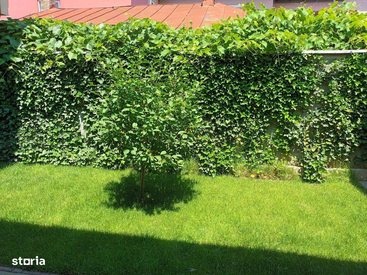 Vanzare proprietate cu doua case si intrari separate curte Giulesti-11