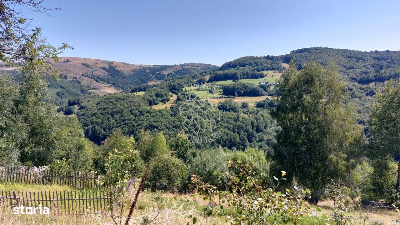 Teren extravilan investiție Rachitele Cluj - 31.555 mp - Imagine principală: 5/8