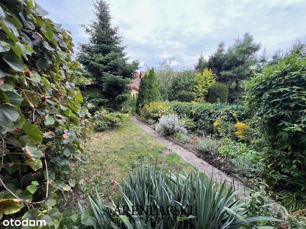 Wymarzona Lokalizacja- Os. Staszica, Gorzów Wlkp. - Pełny obrazek: 5/16