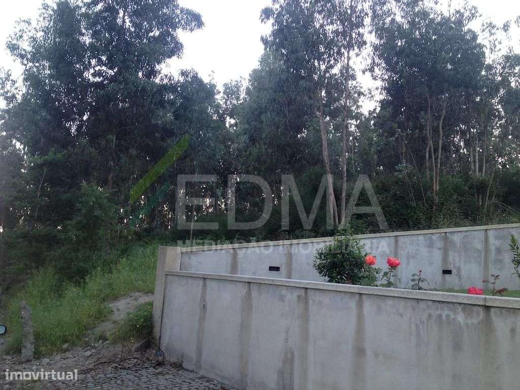 Lote - Grande imagem: 2/3