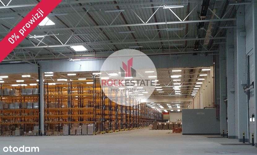 Magazyn w Robakowie od zaraz - 0% prowizji - Pełny obrazek: 5/9