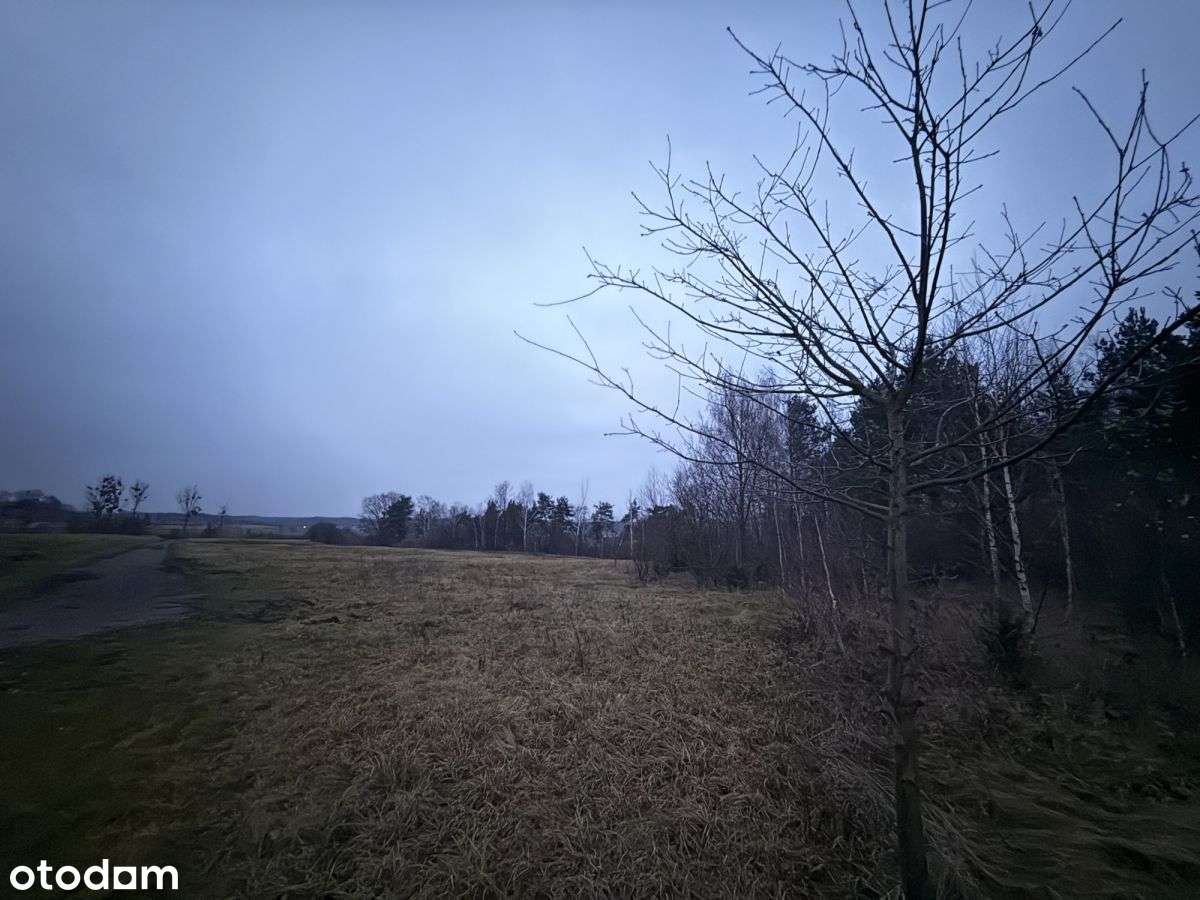 Okazja! Duża działka rolna w Borkowie 9802m2 - Pełny obrazek: 3/11