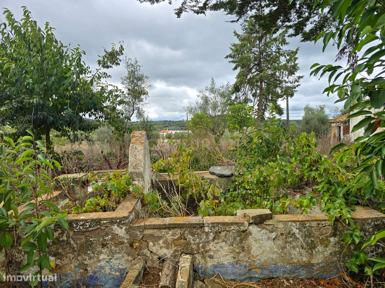Lote de Terreno com Ruína em Montemor-o-Novo - Grande imagem: 5/38