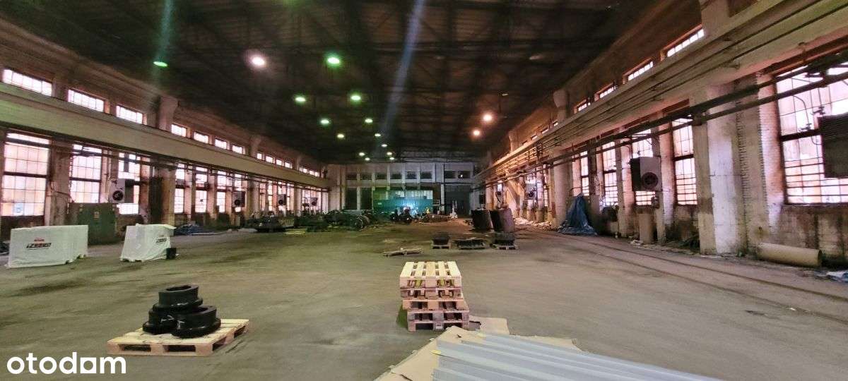 Hala produkcyjno magazynowa - Pełny obrazek: 4/6