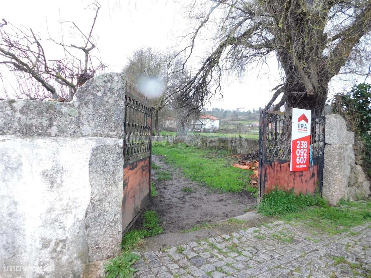 Terreno / Seia, Carragozela e Várzea de Meruge - Grande imagem: 4/8