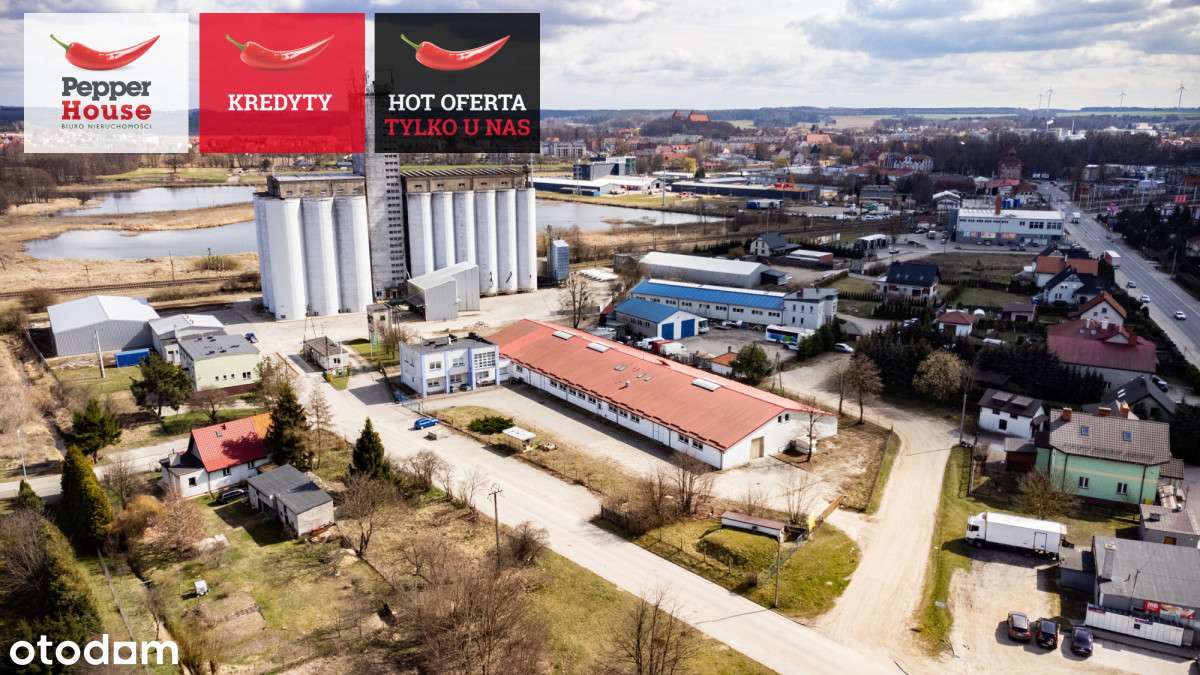 pomieszczenia biurowe do wynajęcia - Pełny obrazek: 4/8